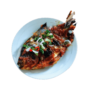 Grilled Fish