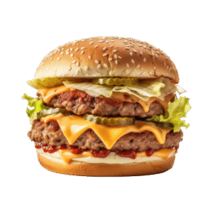 Chicken Burger Patty